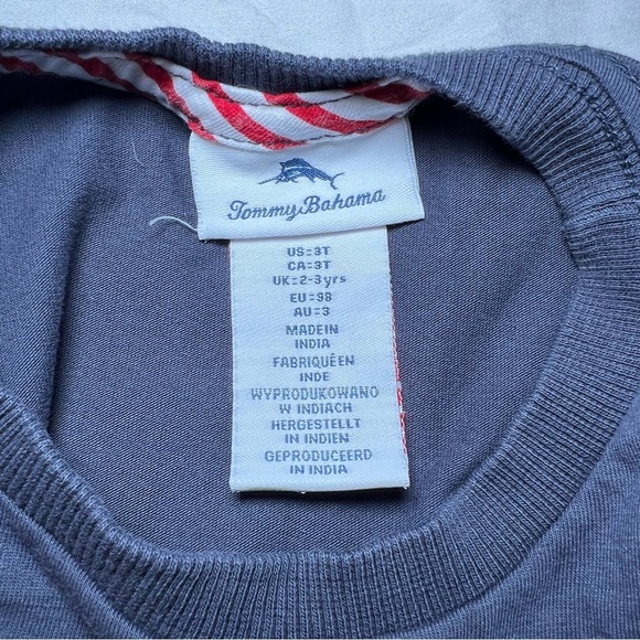 Lot of 3 Boys 3T Nike Track Jacket, Tommy Bahama Tee, Cookie Monster Swim Trunks - Picture 4 of 13